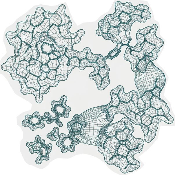 Molecular simulation